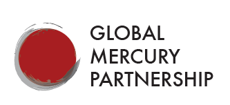 Global Mercury Partnership
